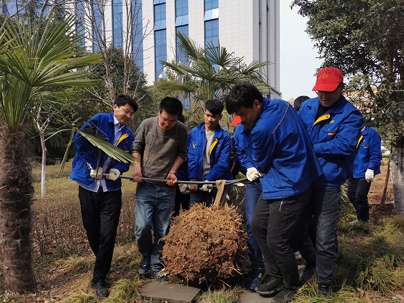 9001cc金沙以诚为本(中国)有限公司官网